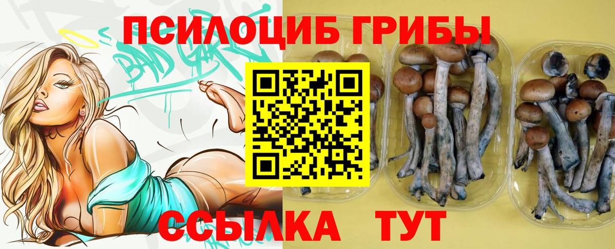 Кушва  Галлюциногенные грибы Magic Shrooms  Вход с VPN 