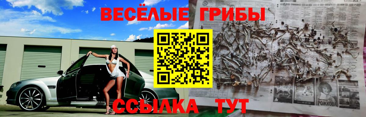 Галлюциногенные грибы Psilocybine cubensis Кушва